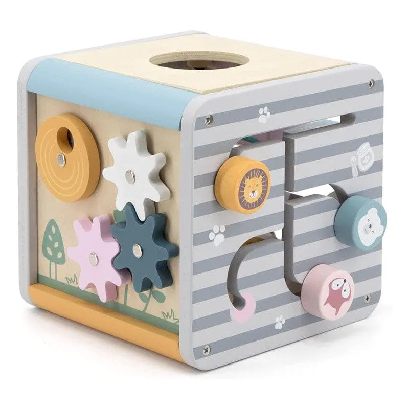 PolarB - 5 in 1 Activity Box